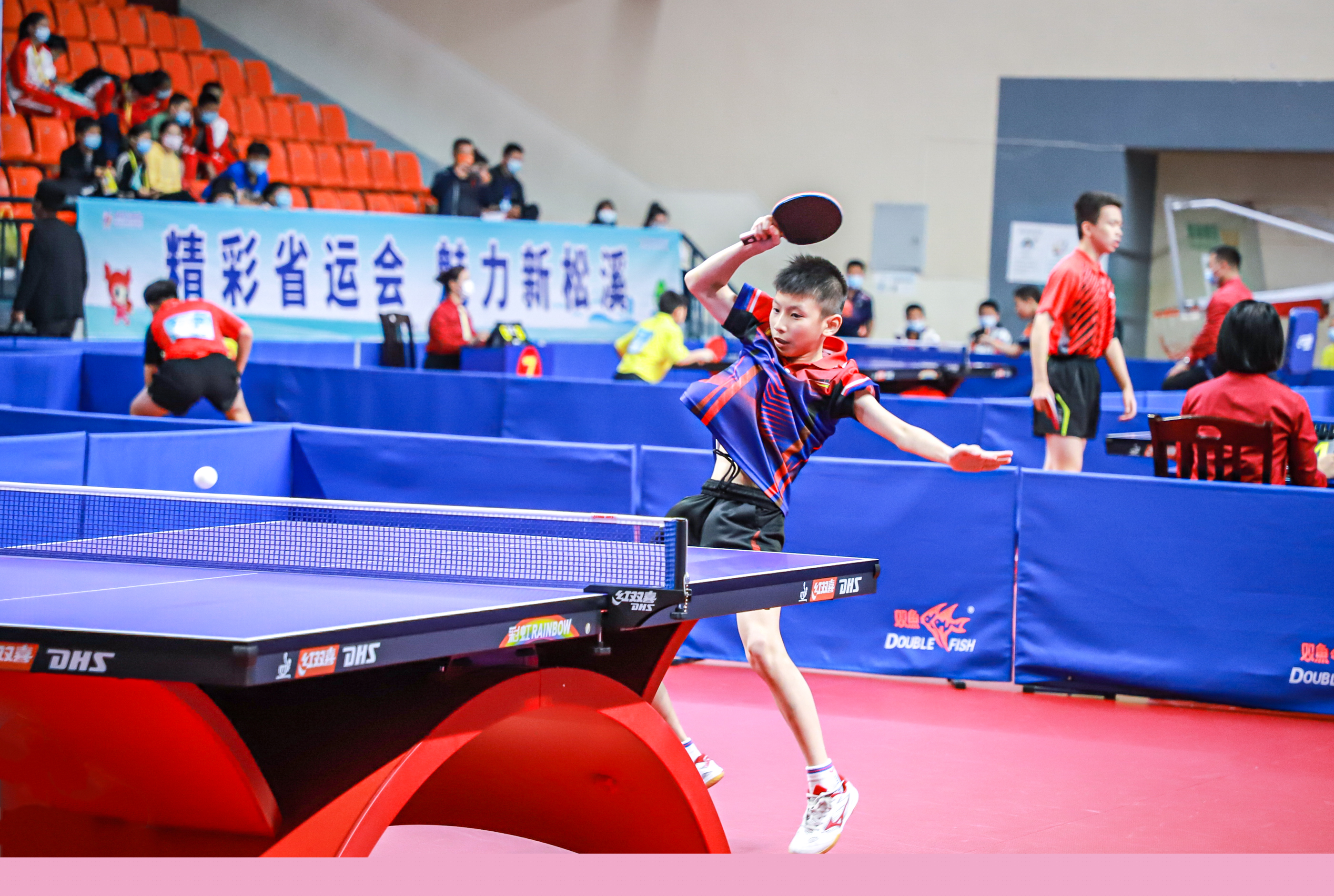 一路走来的 一路走来的